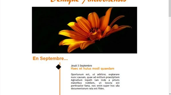 continuous line - cultural2